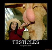 testicles-cowgirls-testicles-demotivational-poster-1231133390.jpg