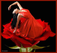 image002.gif