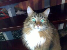20032010171.jpg