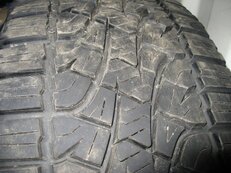 IMG_1421.jpg