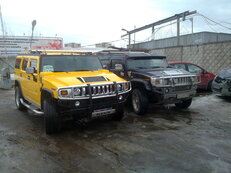 28032010865.jpg