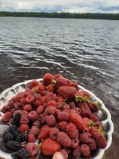2023-06-13 23.52.05.jpg 2023-06-13 23.52.05.jpg