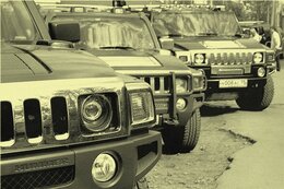 IMG_2462.jpg