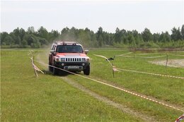 IMG_2571.jpg