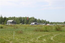 IMG_2599.jpg
