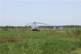 IMG_2646.jpg