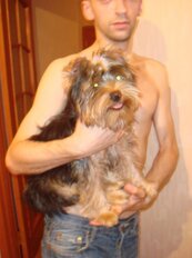 Бритни.jpg