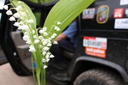 IMG_9451_1.jpg
