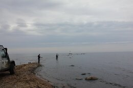 IMG_9468_1.jpg