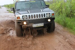 IMG_9613_1.jpg