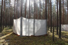 IMG_9746_1.jpg