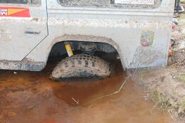 IMG_9768_1.jpg