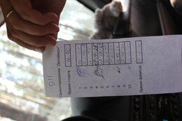 IMG_9956_1.jpg