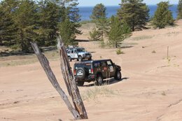 IMG_0130_1.jpg