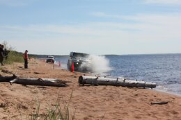 IMG_0290_1.jpg