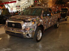 DSC00019.jpg