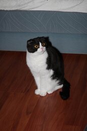 IMG_0045.jpg