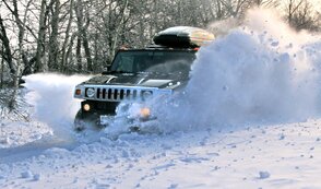 IMG_0803.jpg