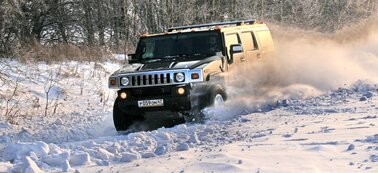 IMG_0828.jpg