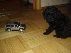 Picture 072.jpg