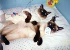 img004.jpg