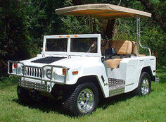 __golf_novosti__250_4937895722cc7223.jpg