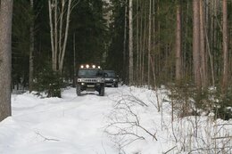 н2влесу.JPG