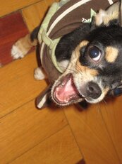 IMG_0927.JPG