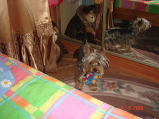 павлово-2009 пикник 031.JPG