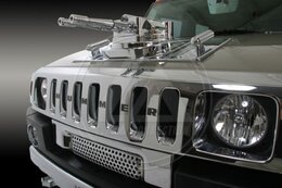 25251_526_auto.jpg