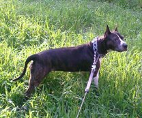 IMAGE_00014a.jpg
