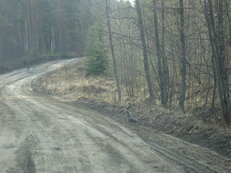 DSC01009xxx.jpg