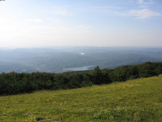 IMG_0911.jpg