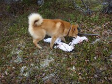 DSC00829.JPG