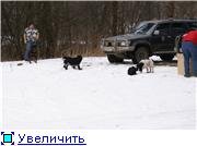 64472ac7b696t.jpg