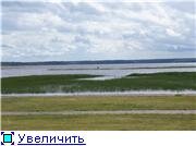 645a7a321ebet.jpg