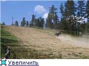 1d0884fe9714t.jpg