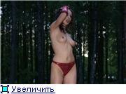 d5a309c1b9d9t.jpg