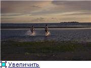 d4487abc8336t.jpg