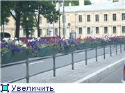 7430fb8e0182t.jpg