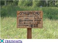 489b084d953bt.jpg