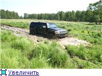 4425e3b5a804t.jpg
