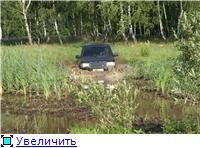 344626c1bf29t.jpg