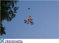 50a31a82d86et.jpg