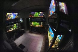3d0b2ef52c165c5e35.jpg