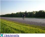 65dd2c18d403t.jpg