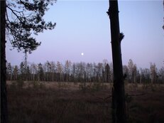 bd26d888e1e5.jpg