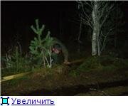 9e0b902b7412t.jpg