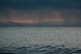 IMG_1134.jpg