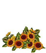 3786f2ca3e6b.gif